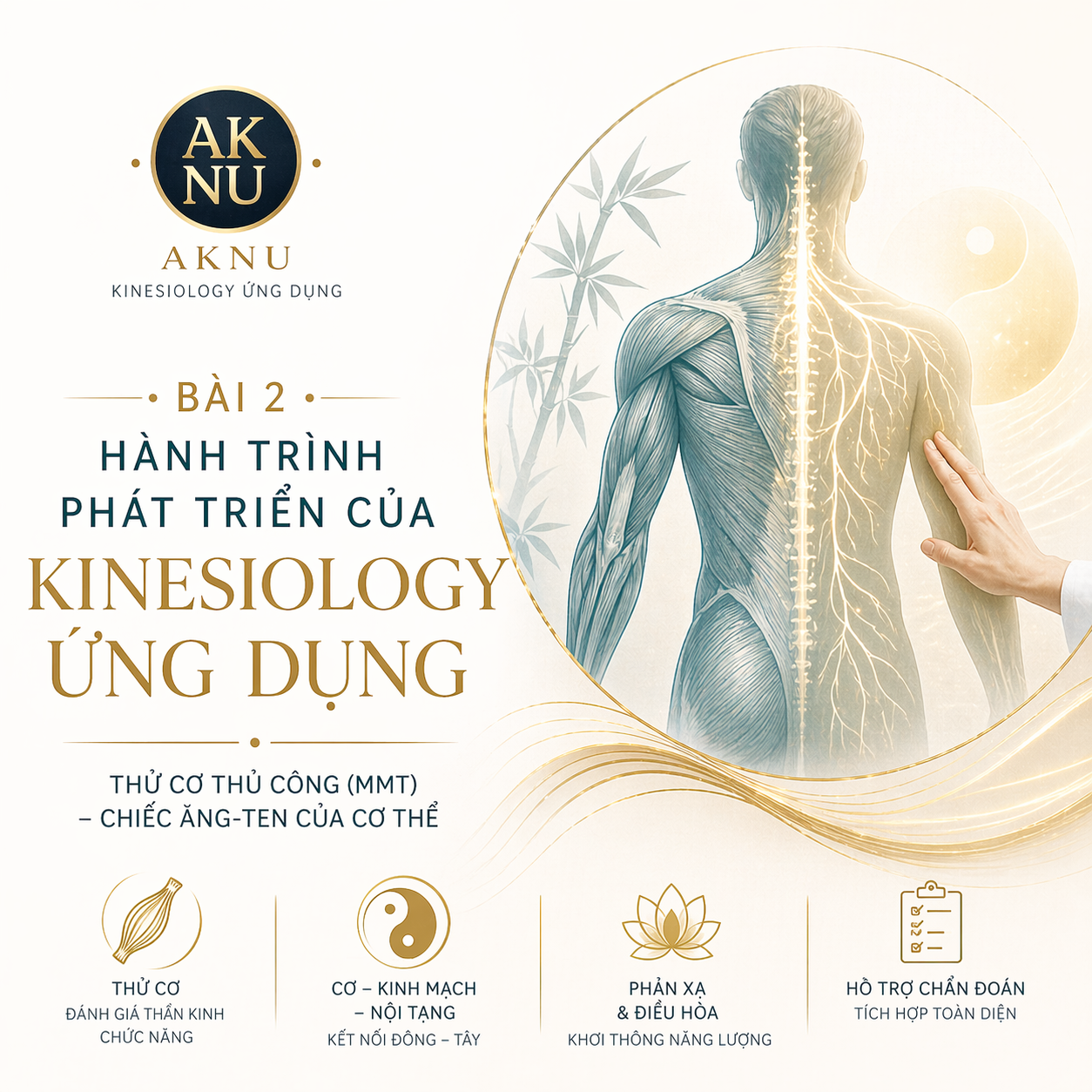 Bài 2: Hành trình phát triển của Kinesiology ứng dụng