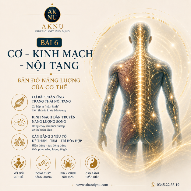 Bài 6: Mối liên kết giữa Cơ – Kinh mạch – Nội tạng