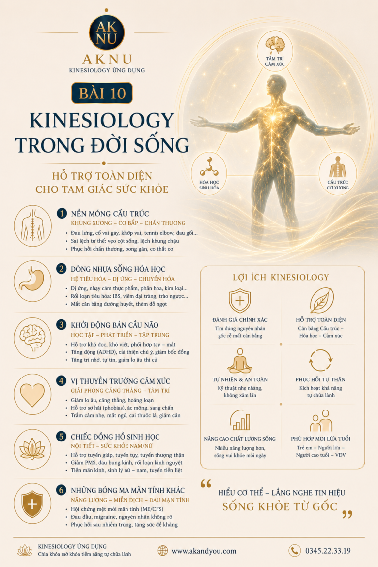 Bài 10: Applied Kinesiology hỗ trợ những vấn đề sức khỏe nào?
