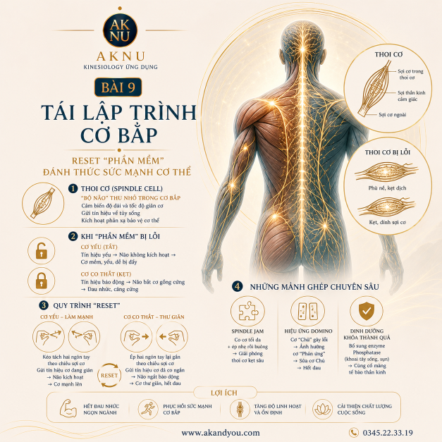 Bài 9: Tái lập trình cơ bắp (Muscle Reprogramming)