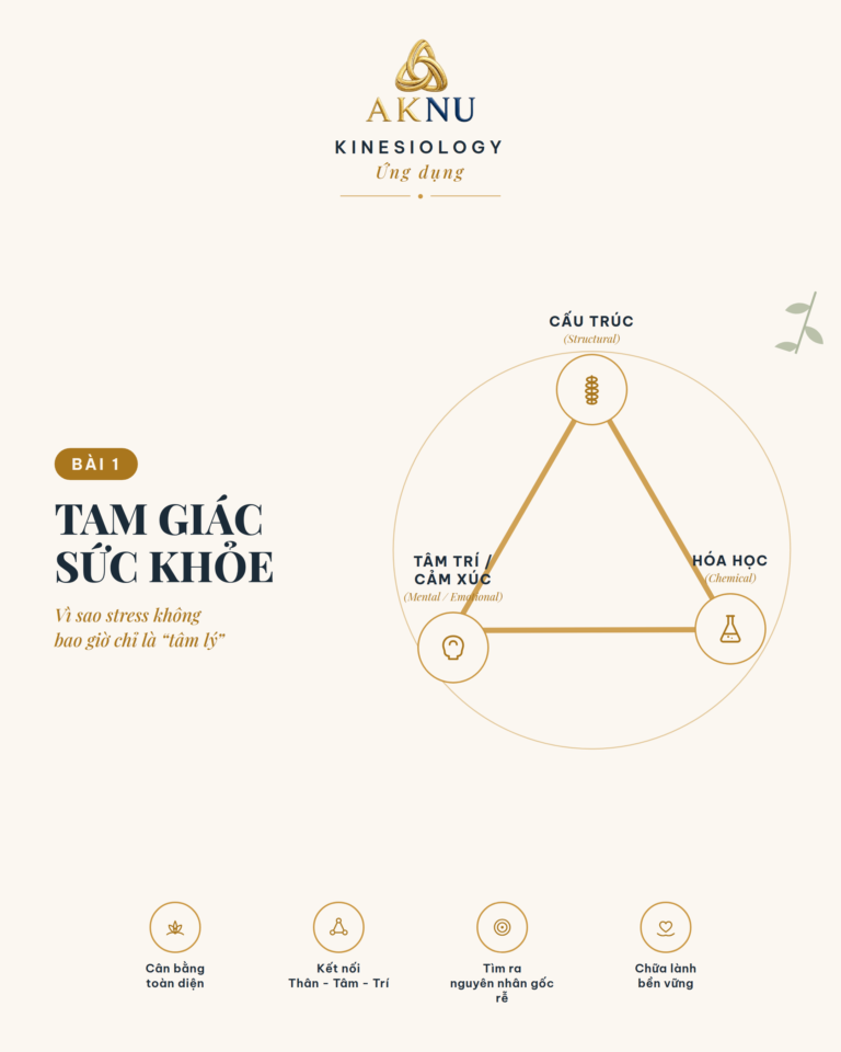 Stress bài 1: Bộ Ba Sức Khỏe (Triad of Health) và lý do stress chưa bao giờ chỉ là chuyện tâm lý