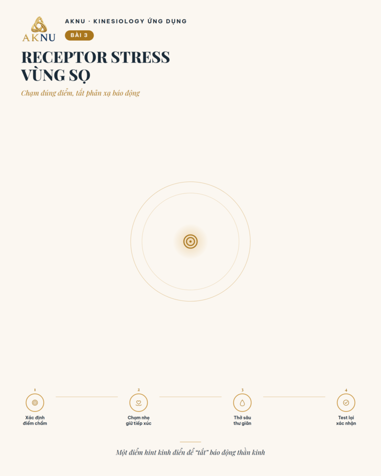 Stress bài 3: Receptor stress vùng sọ và kỹ thuật Hint kinh điển để tắt phản xạ báo động