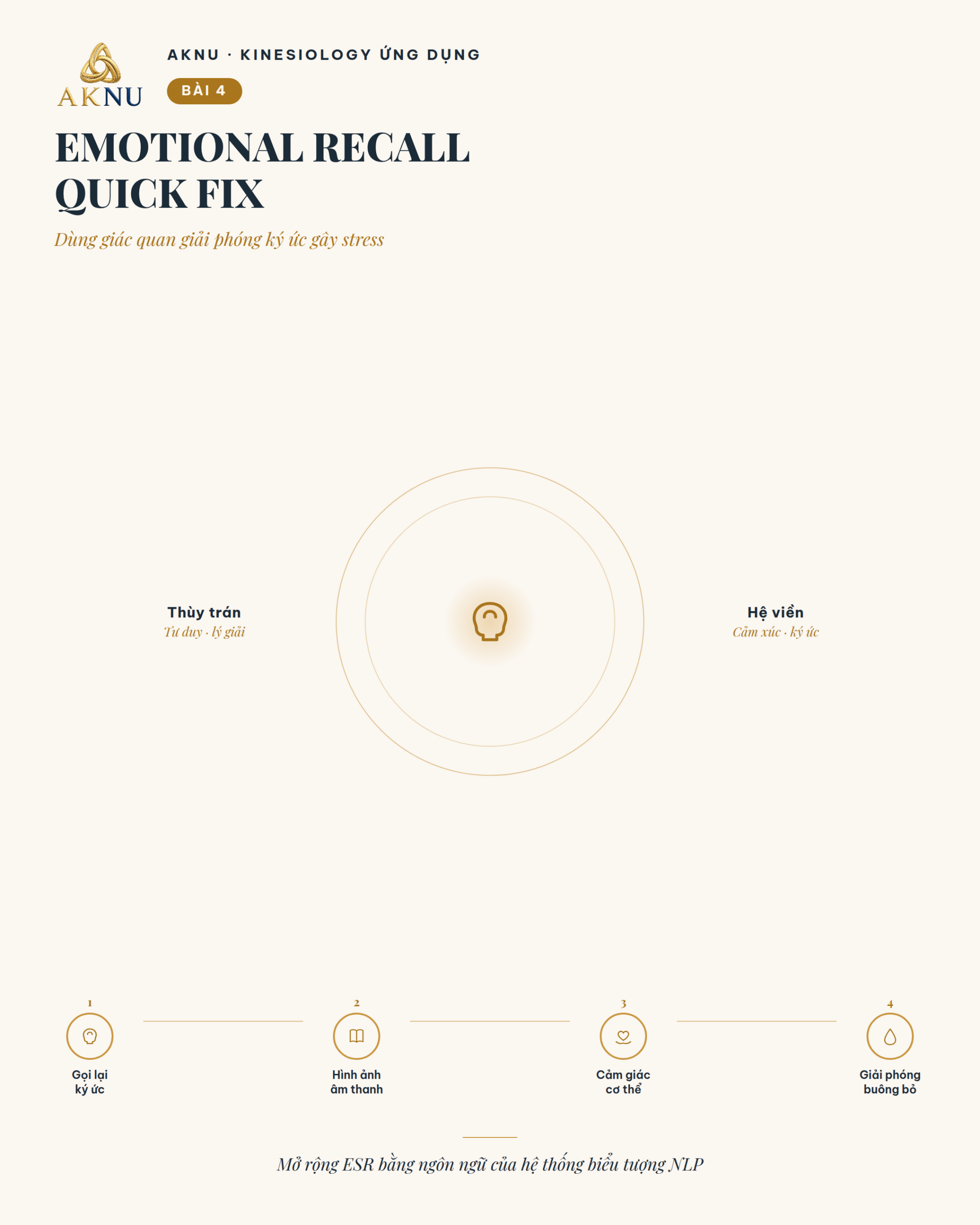 Stress bài 4: Emotional Recall Quick Fix Nâng Cao: Dùng Giác Quan Để Giải Phóng Ký Ức Gây Stress