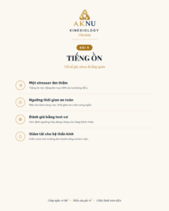 Stress bài 8: Tiếng Ồn: Yếu Tố Gây Stress Bị Lãng Quên