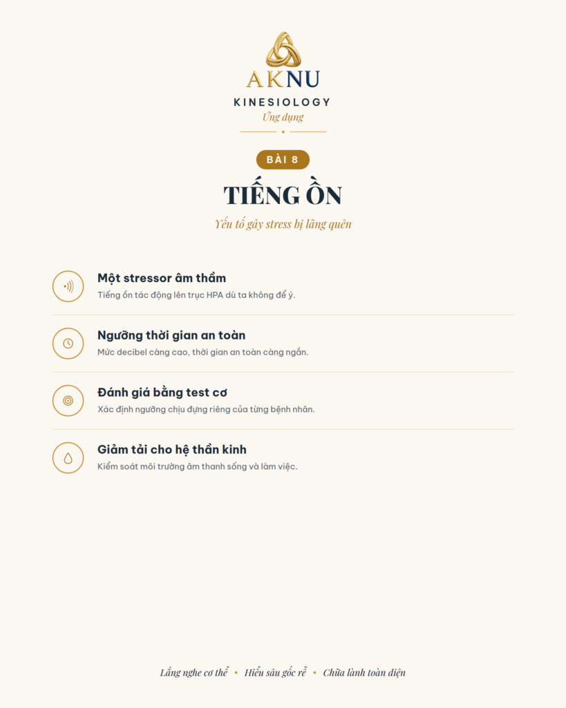 Stress bài 8: Tiếng ồn, yếu tố gây stress bị lãng quên